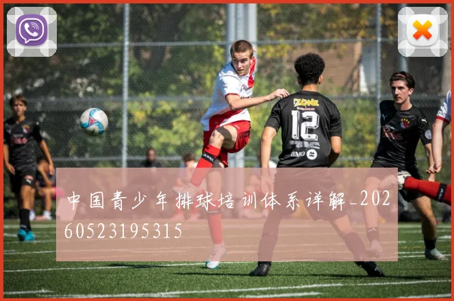 中国青少年排球培训体系详解_20260523195315