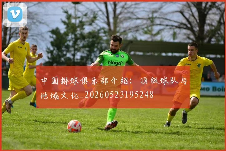 中国排球俱乐部介绍：顶级球队与地域文化_20260523195248