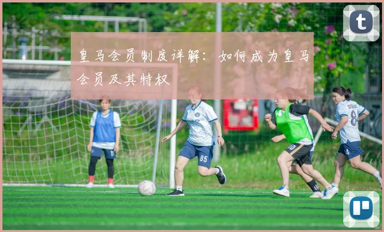 皇马会员制度详解:如何成为皇马会员及其特权
